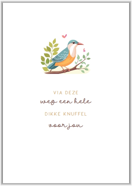 Dikke knuffel