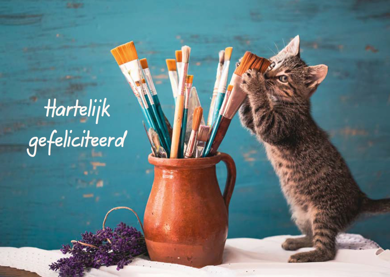Gefeliciteerd Gefeliciteerd Baaij Light Cards Webshop