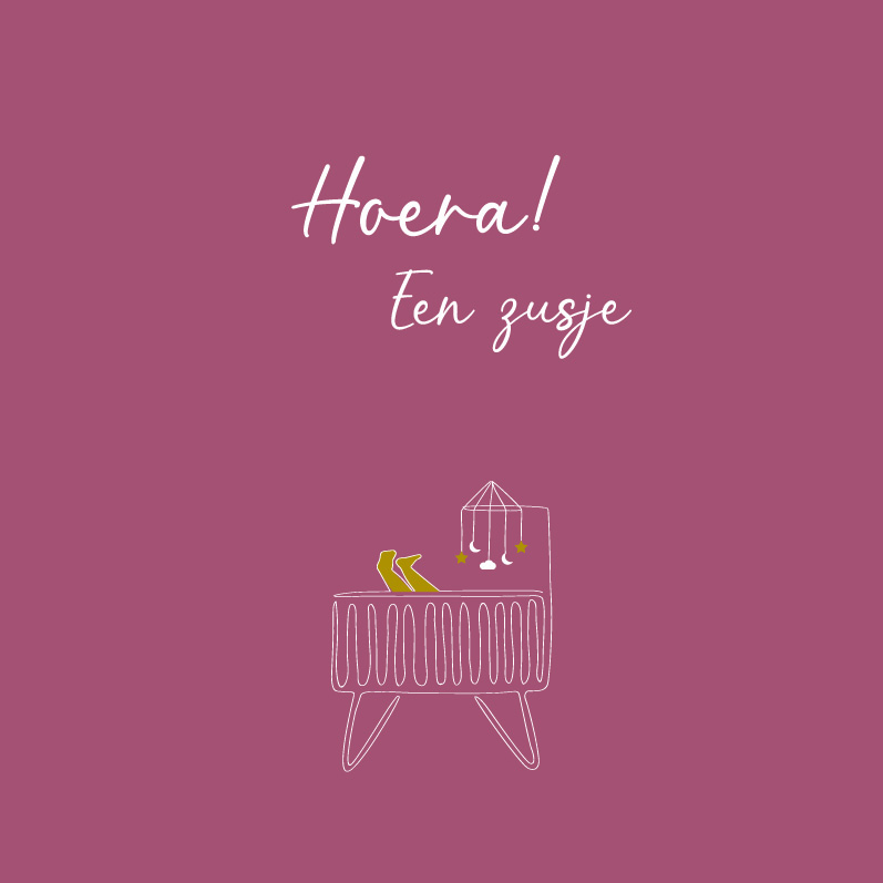Hoera! Een zusje
