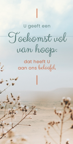 Magneetboekenlegger Toekomst