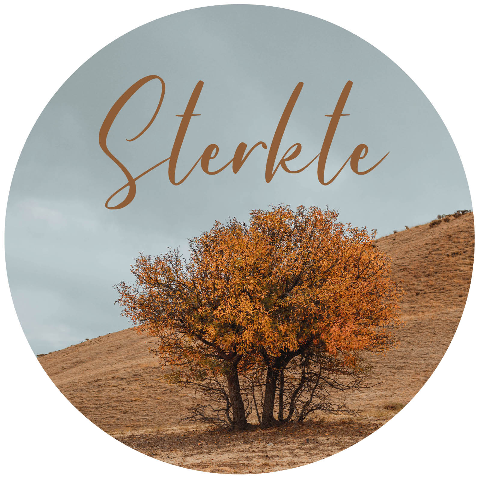 Sterkte