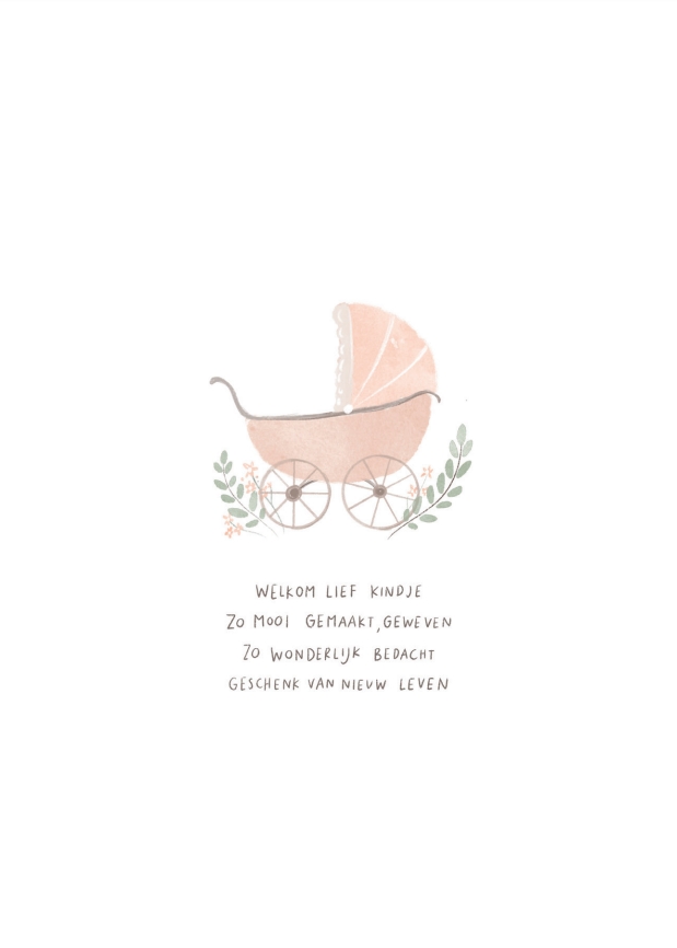 Welkom lief kindje (rose)