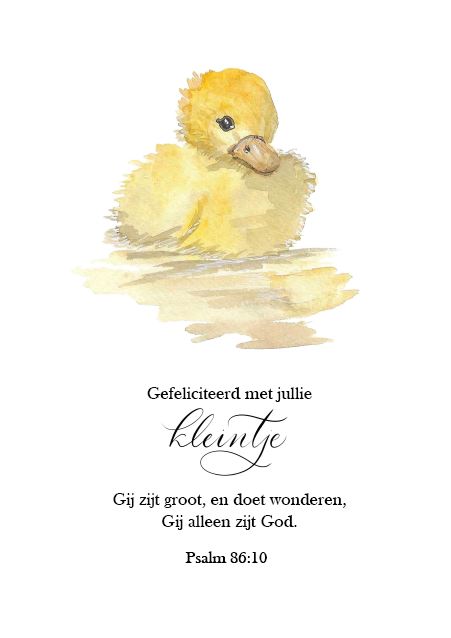 Wonderlijk zijn Uw werken (zoon)