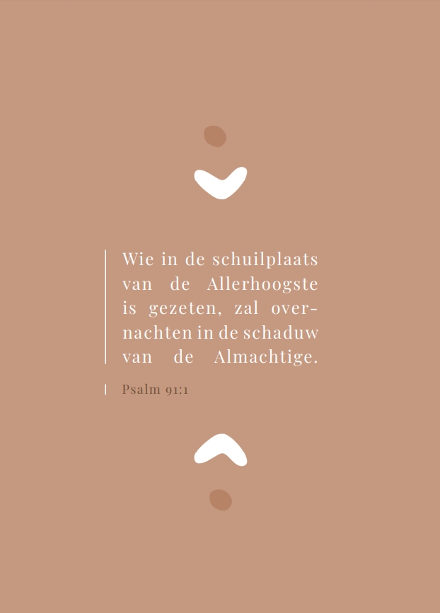 Wie in de schuilplaats