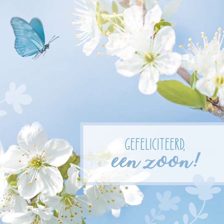 Geboorte Zoon