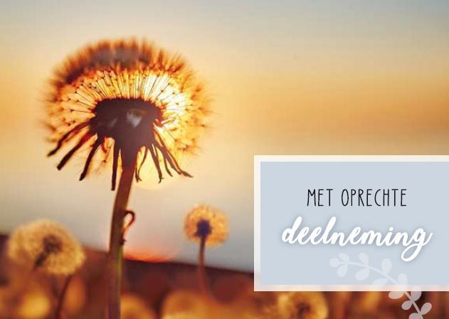 Deelneming