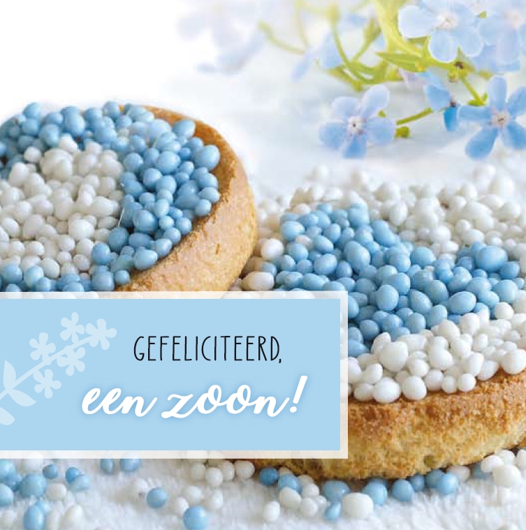 Geboorte Zoon