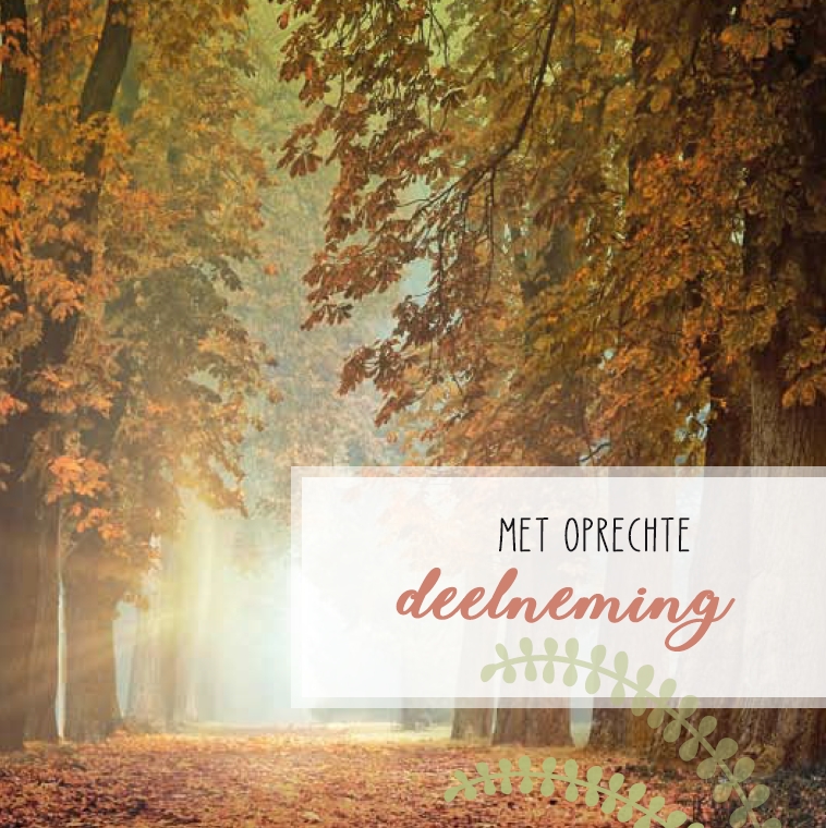 Deelneming