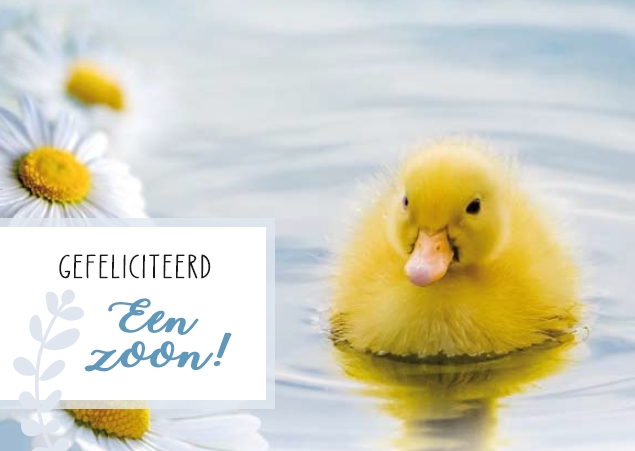 Geboorte Zoon