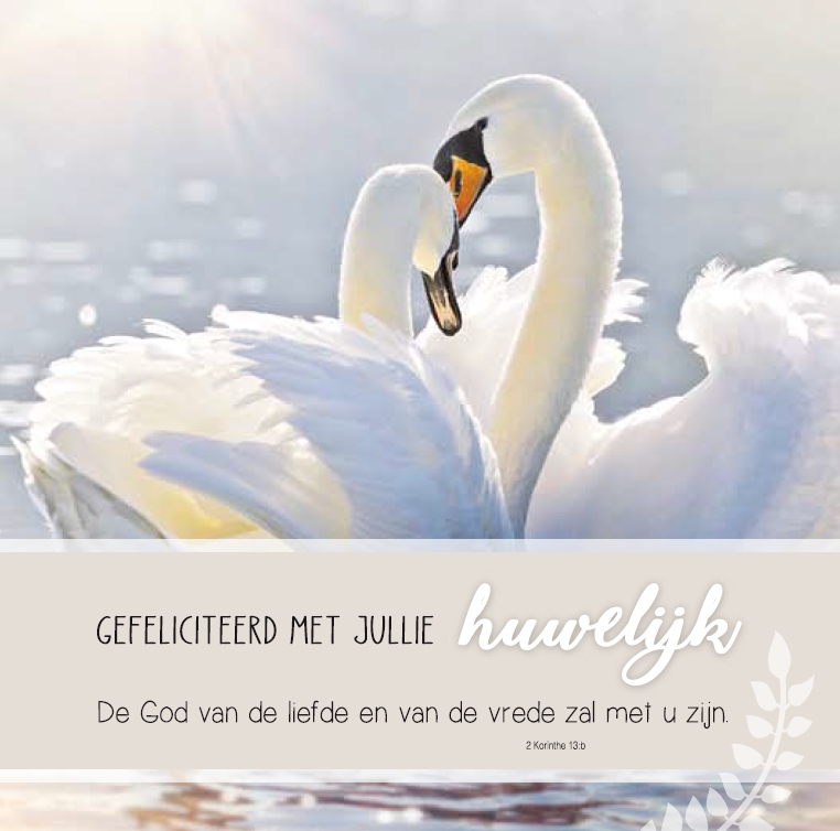 Huwelijk m/t