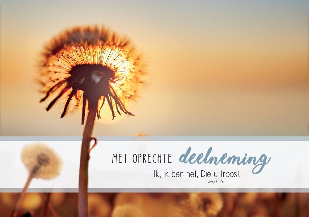 Deelneming m/t