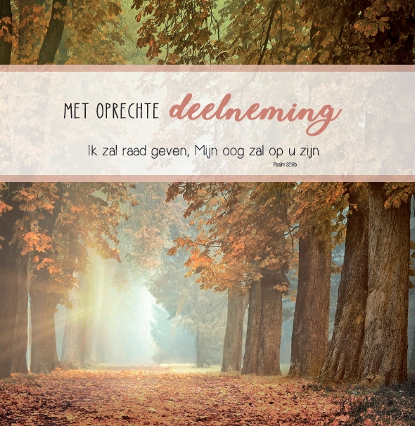 Deelneming m/t