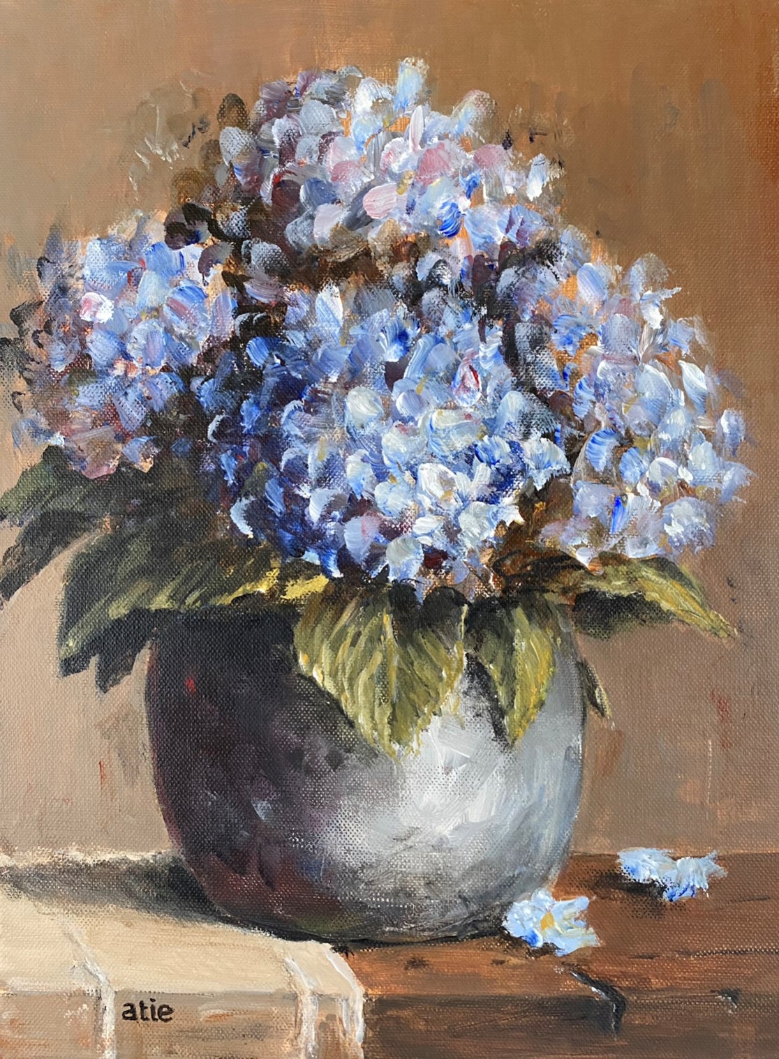 Blanco - Hortensia