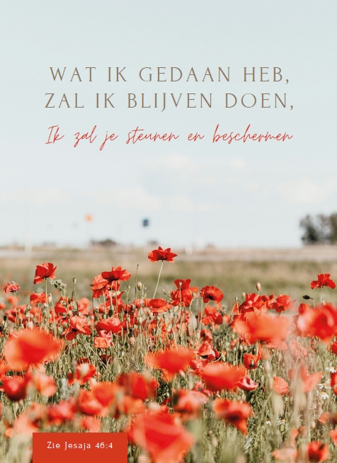 Wat Ik gedaan heb