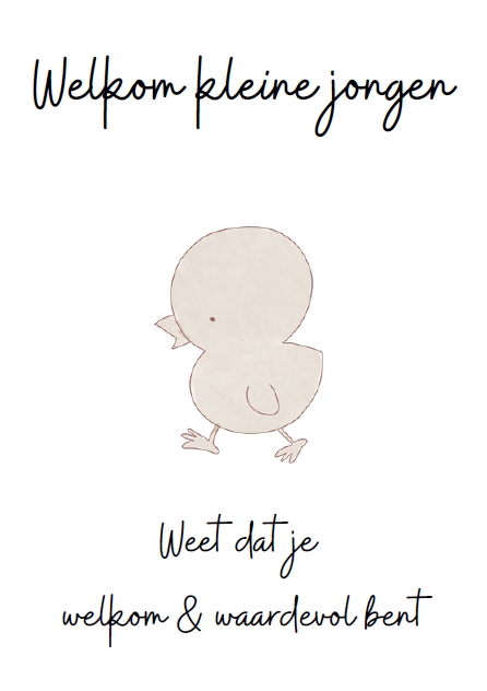 Geboorte zoon