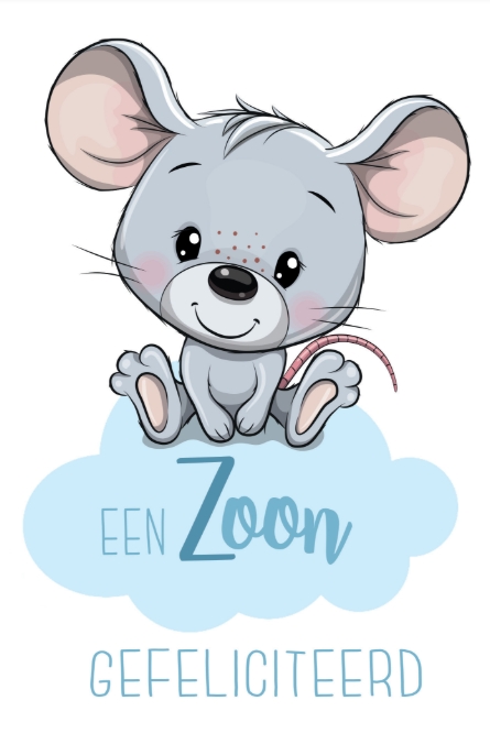 Geboorte zoon