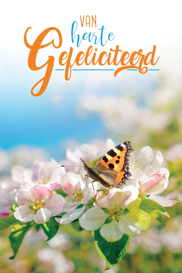 Gefeliciteerd - Gefeliciteerd - Baaij Light Cards Webshop