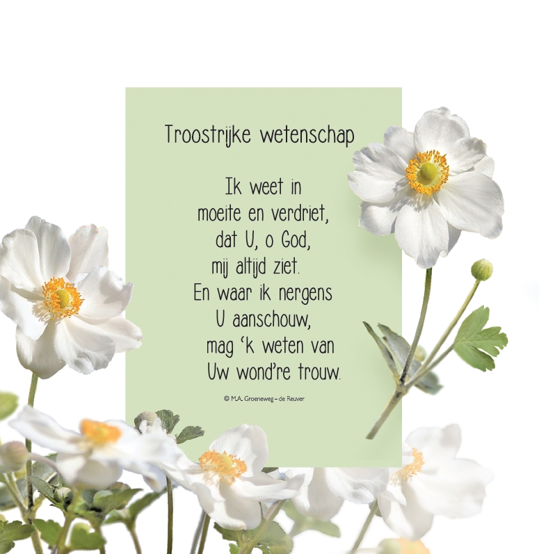 Bemoediging