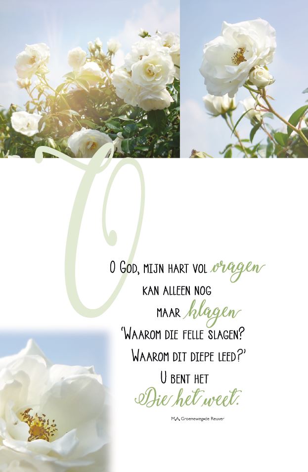 Deelneming