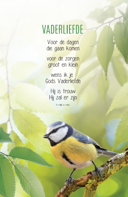 Bemoediging