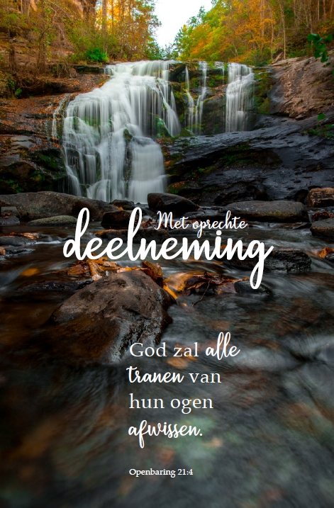 Deelneming m/t