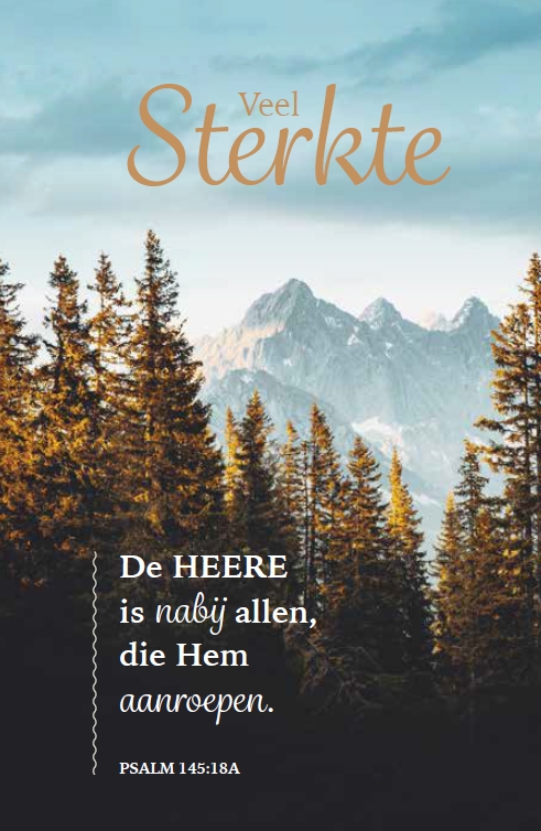 Deelneming m/t