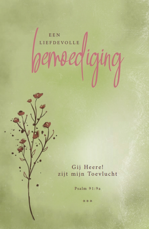 Deelneming m/t