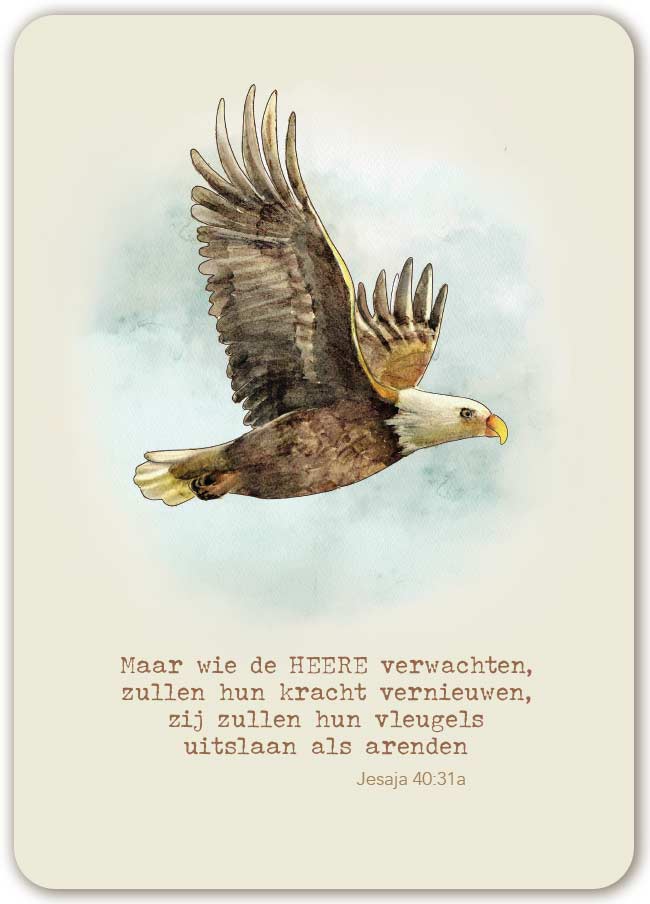 Maar wie de HEERE verwachten