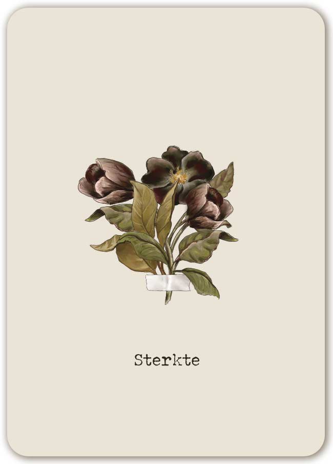 Sterkte