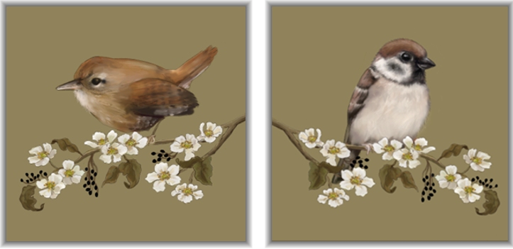 Mapje Notecards Vogeltjes