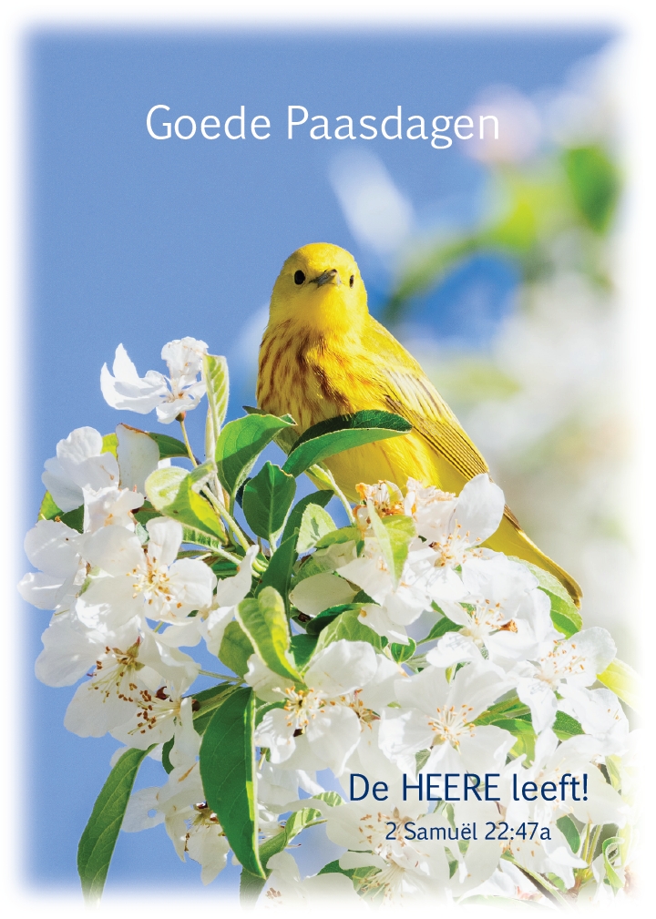 Prentbriefkaart Goede Paasdagen