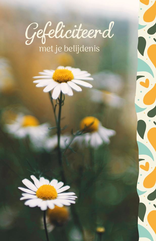 Wenskaart Gefeliciteerd je belijdenis