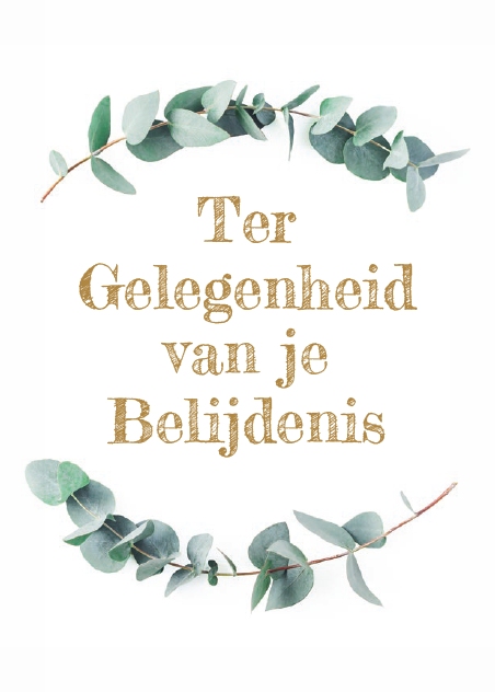 Prentbriefkaart T.Gelegenheid Belijdenis