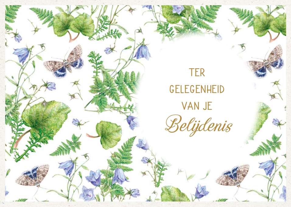 Prentbriefkaart T.Gelegenheid Belijdenis