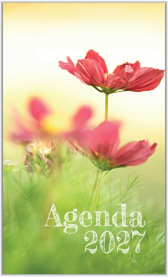 Zak-agenda Rozen
