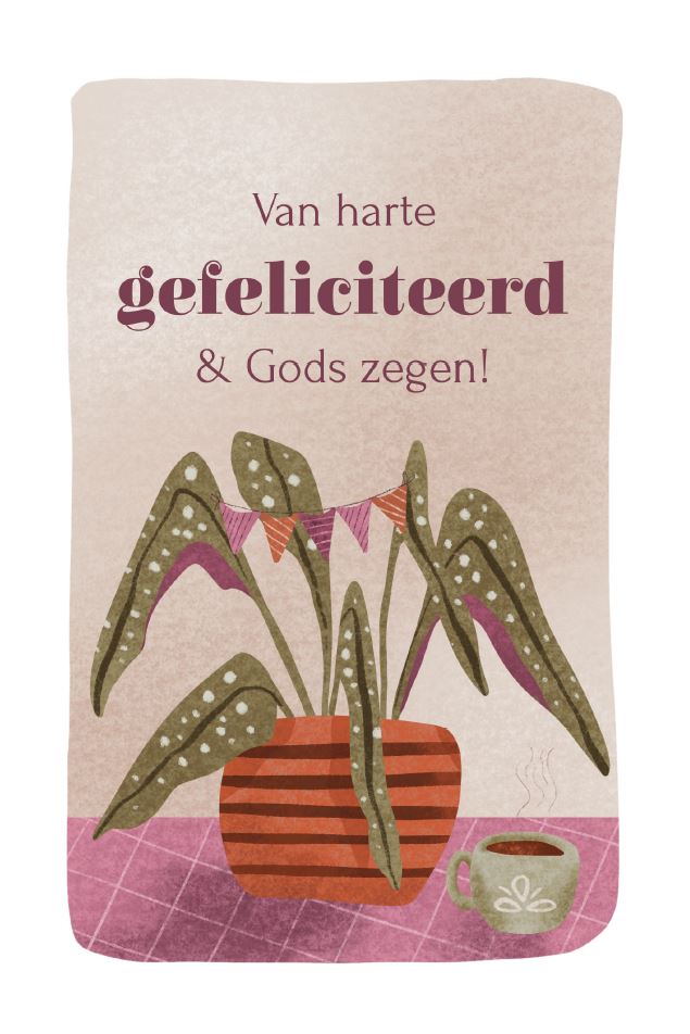 Van harte gefeliciteerd & Gods zegen